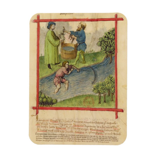 Ms Lat 9333 f.82 Fishing for Eels, from 'Tacuinum Magnet (Vertical)