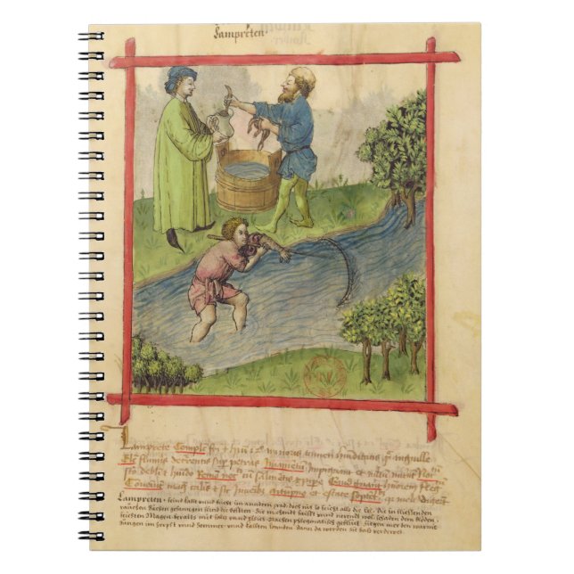Ms Lat 9333 f.82 Fishing for Eels, from 'Tacuinum Notebook (Front)