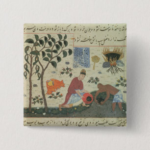 Ms Pers 332 Pepper tree and preparing pepper 15 Cm Square Badge