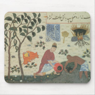 Ms Pers 332 Pepper tree and preparing pepper Mouse Mat