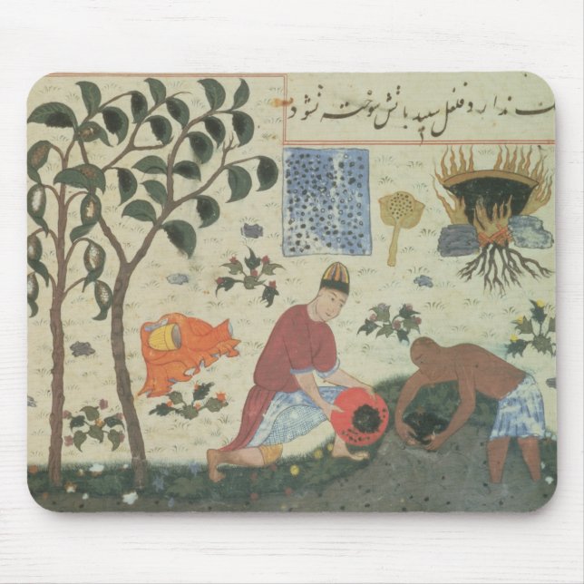 Ms Pers 332 Pepper tree and preparing pepper Mouse Mat (Front)