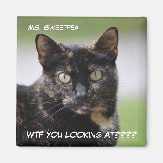 Ms. Sweetpea the Tortie Magnet (Front)