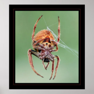 Ms. Weaver Poster