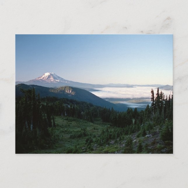 Mt Adams from the Goat Rocks Wilderness, WA Postcard (Front)