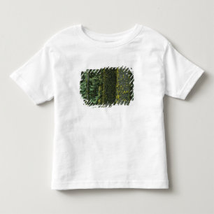 Mt. Ashland, Rogue RIver National Forest, Toddler T-Shirt