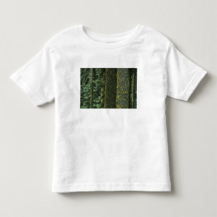 Mt. Ashland, Rogue RIver National Forest, Toddler T-Shirt