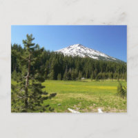 Mt Bachelor & Firs