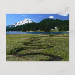 Mt Bachelor & Snake Creek Postcard