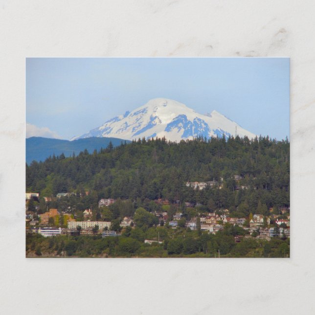 Mt Baker From The Bay Postcard (Front)