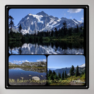 Mt. Baker-Snoqualmie National Forest Collage Poste Poster