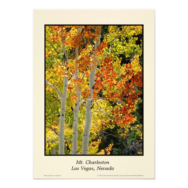 Mt. Charleston NV Autumn Aspen 20"x28" Poster (Front)