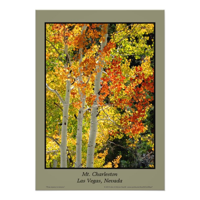 Mt. Charleston NV Autumn Aspen Trees Poster (Front)