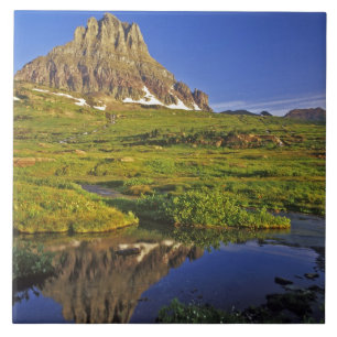 Mt Clements reflects into small pool at Logan Tile