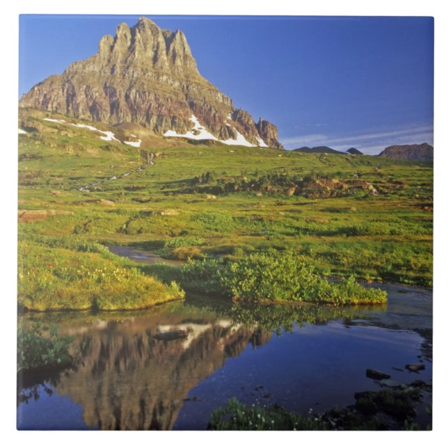 Mt Clements reflects into small pool at Logan Tile (Front)