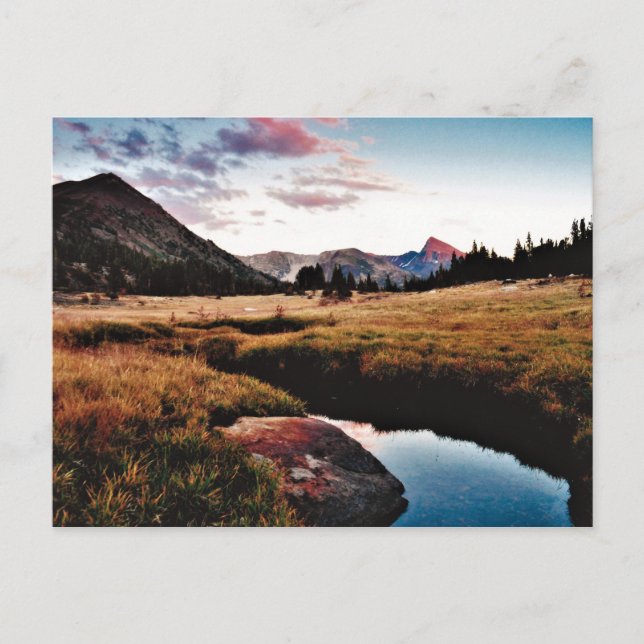 Mt. Dana Sunset. Postcard (Front)