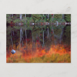 Mt. Desert Island Acadia National Park, Maine Postcard