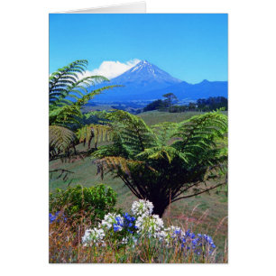 Mt.Egmont / Taranaki