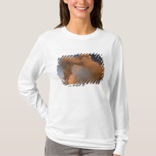 Mt. Etna summit vent, Sicily, Italy T-Shirt