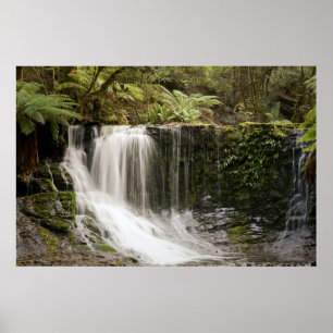 Mt. Field National Park   Horseshoe Falls Poster