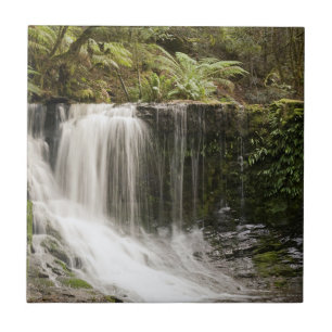 Mt. Field National Park Horseshoe Falls Tile