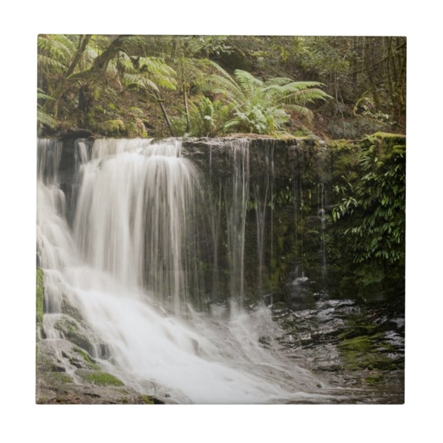 Mt. Field National Park | Horseshoe Falls Tile (Front)