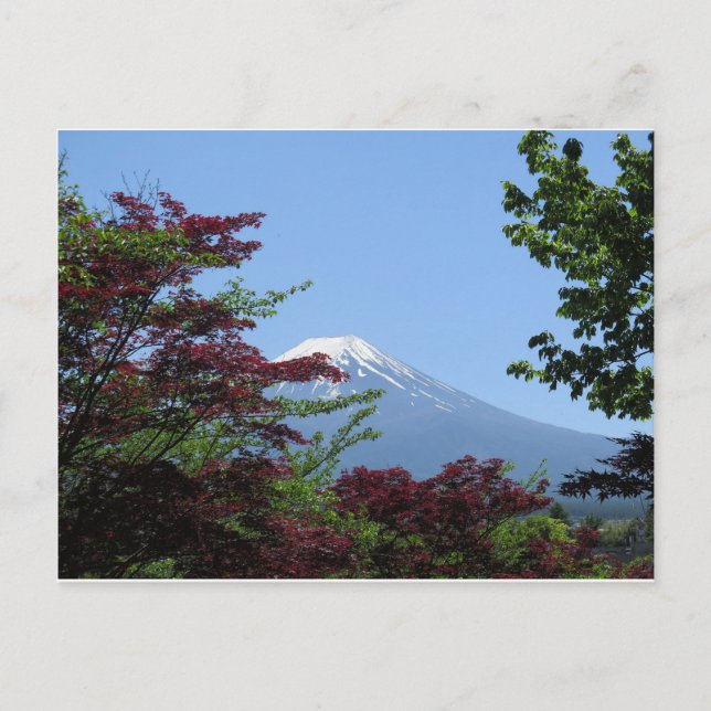 Mt Fuji Japan Postcard (Front)