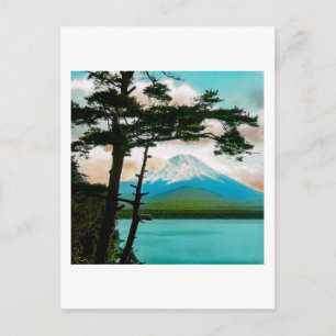 Mt. Fuji Through the Pines Vintage Japanese  富士山 Postcard