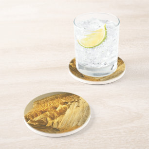 Mt. Garfield Coaster