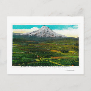 Mt. Hood from Hood River ValleyHood River, OR Postcard