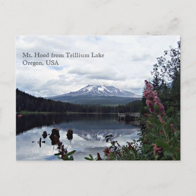Mt. Hood from Trillium Lake Postcard (Front)