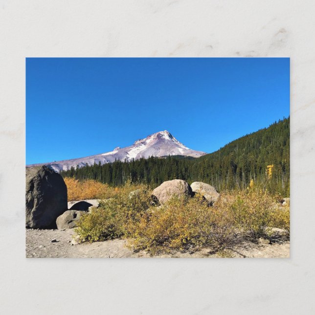 Mt. Hood, Oregon Postcard (Front)