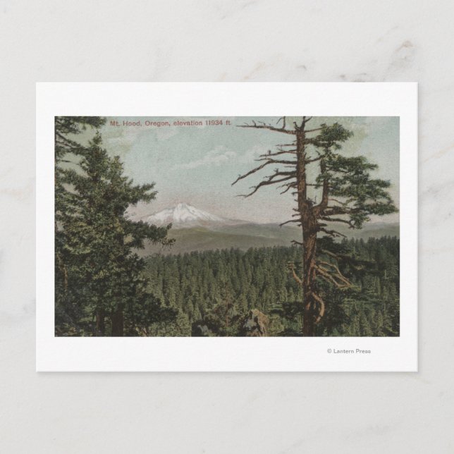Mt. Hood, Oregon - View of Mountain from Distant Postcard (Front)
