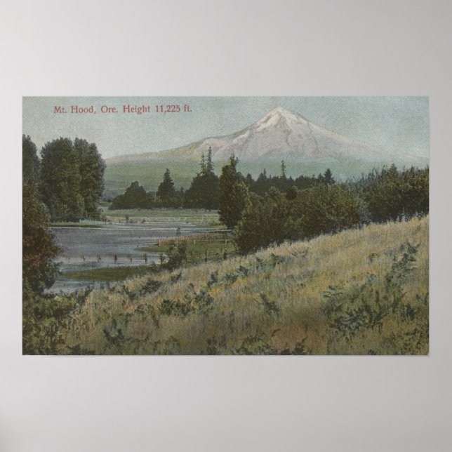 Mt. Hood, Oregon - View of Mountain from Hood 2 Poster (Front)