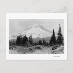 Mt. Hood View from Government Camp Photograph Postcard