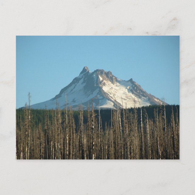 Mt. Jefferson from Olallie Lake, 2005 Postcard (Front)