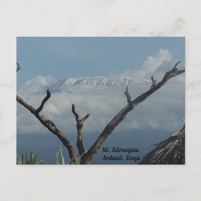 Mt. Kilimanjaro Kenya Postcard (Front)