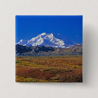Mt . McKinley Denali National Park , Alaska.