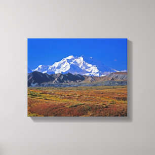 Mt . McKinley Denali National Park , Alaska. Canvas Print
