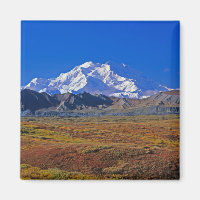 Mt . McKinley Denali National Park , Alaska.