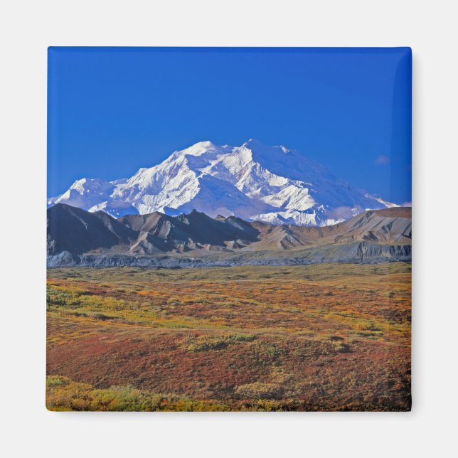 Mt . McKinley Denali National Park , Alaska. Magnet (Front)