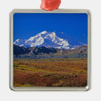 Mt . McKinley Denali National Park , Alaska.