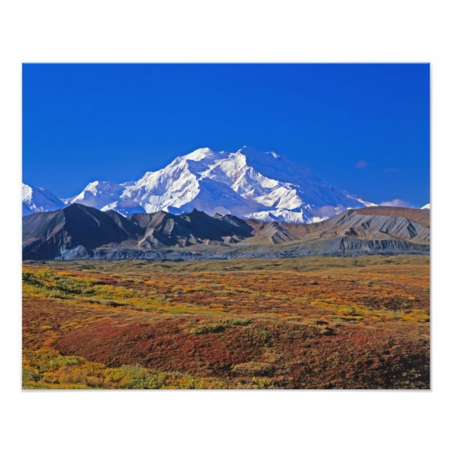 Mt . McKinley Denali National Park , Alaska. Photo Print (Front)