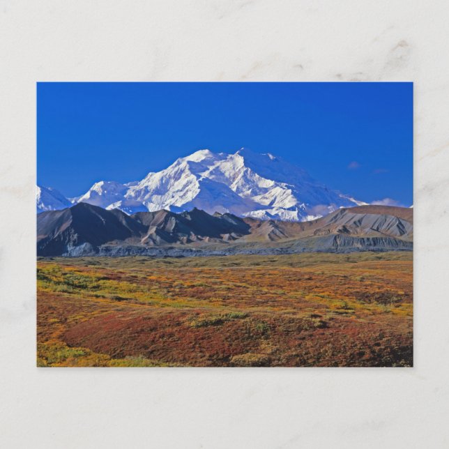 Mt . McKinley Denali National Park , Alaska. Postcard (Front)