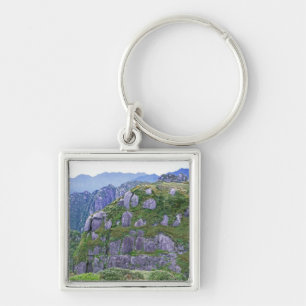 Mt. Nagata, Yakushima, Kagoshima, Japan Key Ring