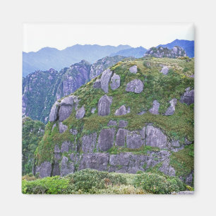 Mt. Nagata, Yakushima, Kagoshima, Japan Magnet
