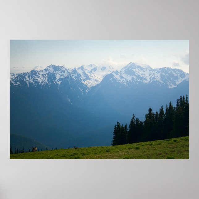 Mt. Olympus Peaks at Hurricane Ridge Print (Front)