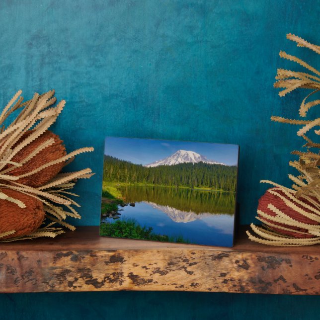 Mt. Rainier and Reflection Lake Plaque (Side)