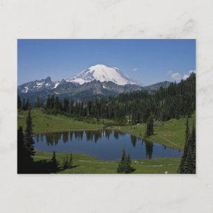 Mt. Rainier and Tipsoo Lake Postcard