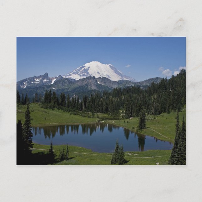 Mt. Rainier and Tipsoo Lake Postcard (Front)