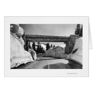 Mt. Rainier, WA Chinook Pass Summit Naches Pass